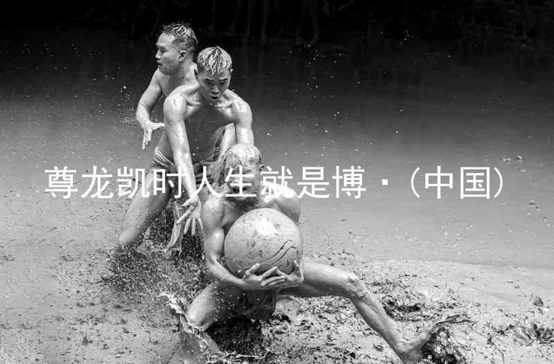 尊龙凯时人生就是博·(中国)